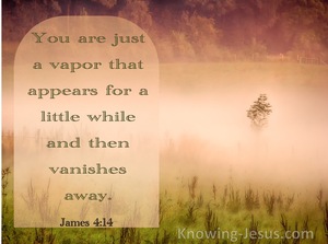 James 4:14